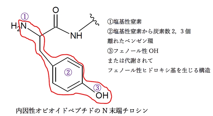 この段階で追加する薬物 オピオイド鎮痛薬 106回薬剤師国家試験問212